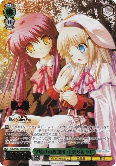  Klb/WE50-26PRR ͼƤݸ ¿ (PRR ץߥ쥢) ץߥ֡ Key 25th Anniversary