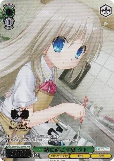  Kkw/WE50-28PRR ˲ᤴ  (PRR ץߥ쥢) ץߥ֡ Key 25th Anniversary