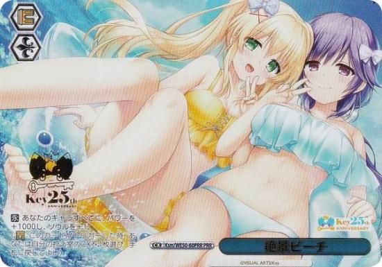 ������������������ Ksm/WE50-60PRR ��ʥӡ��� (PRR �ץ�ߥ��쥢) �ץ�ߥ���֡������� Key 25th Anniversary