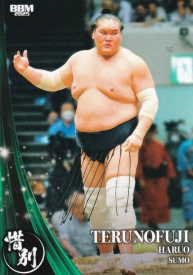 BBM ݡĥȥ졼ǥ󥰥 96 ȥٻ ͺ  (쥮顼/)