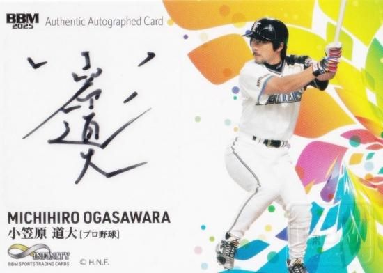 ľɮ  66/70BBM ݡĥȥ졼ǥ󥰥 ޸ƻ ̳ƻܥϥե ץ (ڥ륤󥵡)