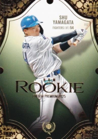 BBM ١ܡ륫 RP24 ѽ ̳ƻܥϥե (쥮顼)