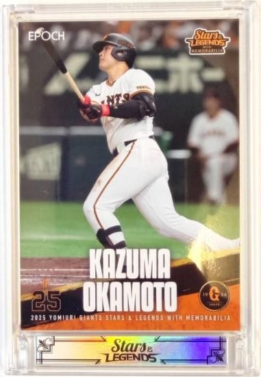 08/61ۥ١ܡ륫 15  ¿ (쥮顼) ݥå 2025 䥸㥤  & 쥸 with ӥꥢ