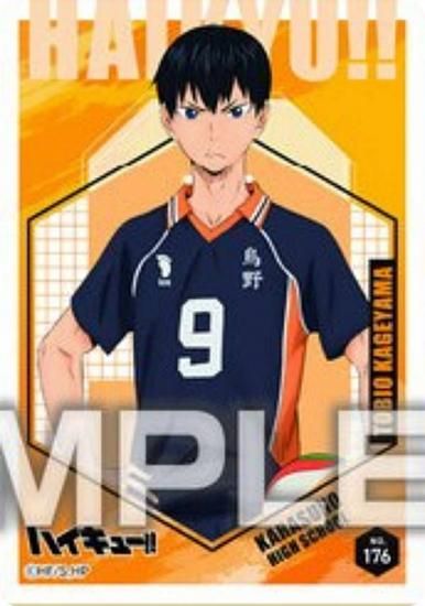 No.176 ƻͺۥϥ塼!! ꥢɥ쥯󥬥5 ɤΤ