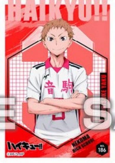 No.186 ױۥϥ塼!! ꥢɥ쥯󥬥5 ɤΤ