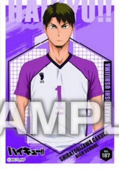 No.187 ۥϥ塼!! ꥢɥ쥯󥬥5 ɤΤ