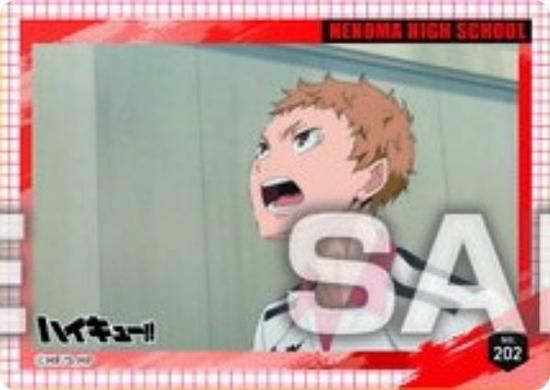 No.202 ױۥϥ塼!! ꥢɥ쥯󥬥5 ɤΤ