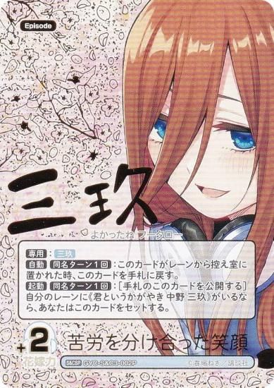 ڥѥ/󲡤۸ʬβֲǥɥ GYC-S&C3-002P ϫʬäд (S&CSP) ꡼֡ɥå  