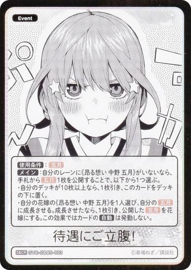 󲡤۸ʬβֲǥɥ GYC-S&C5-003 ԶˤΩʢ (S&CR) ꡼֡ɥå  ޷