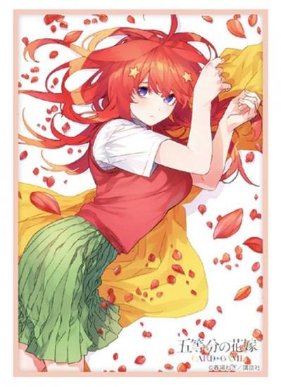 ʬβֲǥɥ GYC-S&C5 [꡼֡60]Τ ꡼֡ɥå  ޷