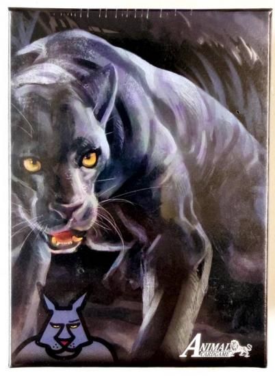 ڥǥåۥ˥ޥ륫ɥ ACG 2ƥǥå ҥ祦ǥå [֡]