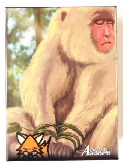 ڥǥåۥ˥ޥ륫ɥ ACG 2ƥǥå ¢ϥǥå [֡]