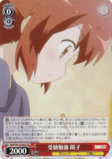  KMS/W133-062S ٶ ۻ (SR ѡ쥢) ֡ѥå 󤤤⥶ 15th Anniversary