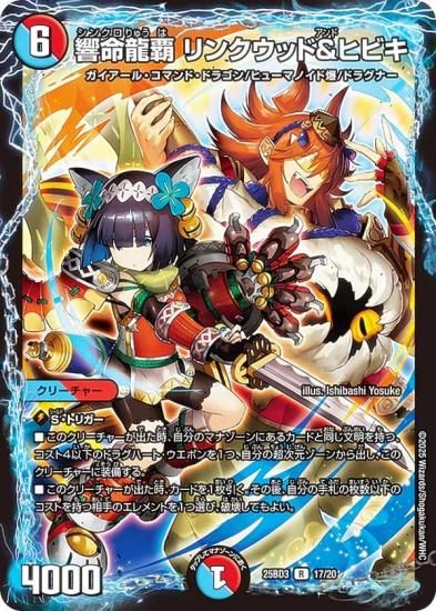 ǥ奨ޥ 17/20 ̿ζ 󥯥åɡҥӥ (R 쥢) (DM25-BD3)