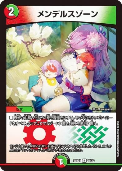 ǥ奨ޥ 19/20 ǥ륹 (R 쥢) (DM25-BD3)