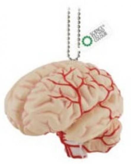 ǾϷۥ󥹥ƥ˥顼 ʤ餫β˶Ωο޴