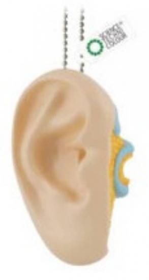 ڼϷۥ󥹥ƥ˥顼 ʤ餫β˶Ωο޴