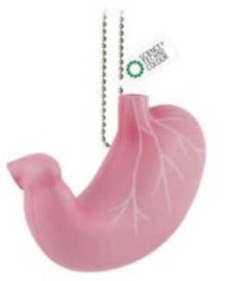 ڰϷۥ󥹥ƥ˥顼 ʤ餫β˶Ωο޴