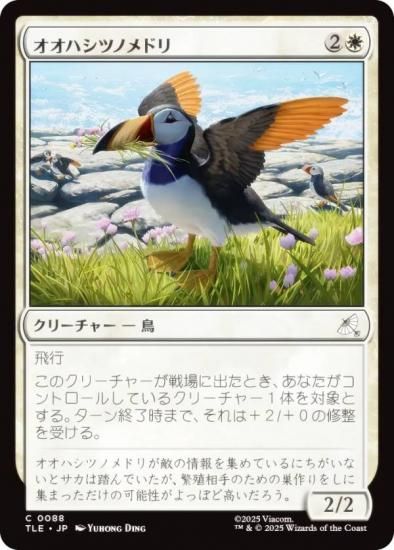 ޥå㥶 TLE JP 0088 ϥĥΥɥ (ܸ ) Х ξǯ (MTG)