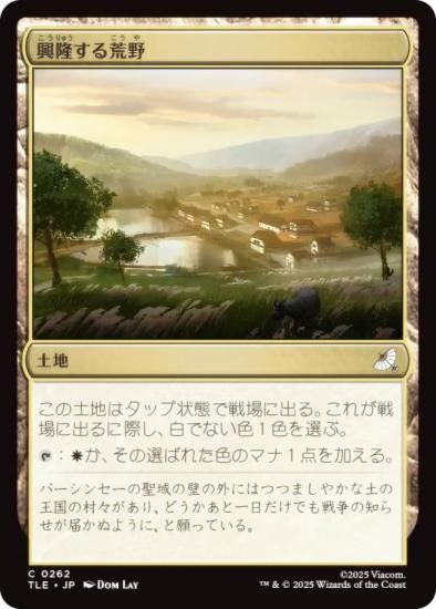 ޥå㥶 TLE JP 0262 δ (ܸ ) Х ξǯ (MTG)