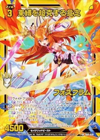 ڶۥùۥ Z/X IG07-039 «Ķջ եե (SR ѡ쥢) ˥åѥå ӥ磻ѥ˥å (IG-07)