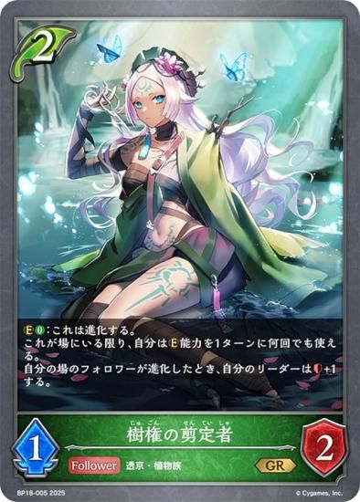 ɥС ܥ BP18-005  (GR ɥ쥢) ֡ѥå 18 ԻԡƩ