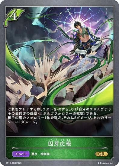 ɥС ܥ BP18-008  (GR ɥ쥢) ֡ѥå 18 ԻԡƩ