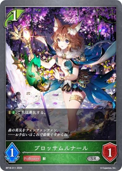 ɥС ܥ BP18-011 ֥åʡ (SR С쥢) ֡ѥå 18 ԻԡƩ