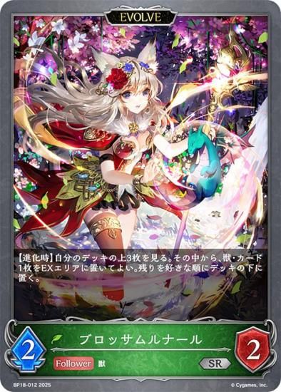 ɥС ܥ BP18-012 ֥åʡ (SR С쥢) ֡ѥå 18 ԻԡƩ