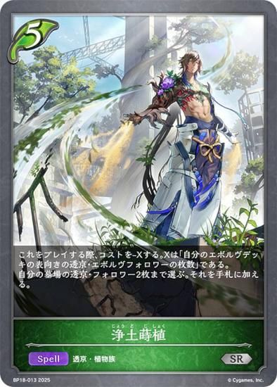 ɥС ܥ BP18-013 ڼ (SR С쥢) ֡ѥå 18 ԻԡƩ