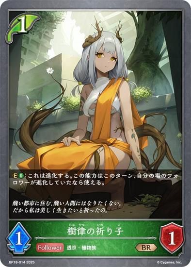 ɥС ܥ BP18-014 Χε (BR ֥󥺥쥢) ֡ѥå 18 ԻԡƩ