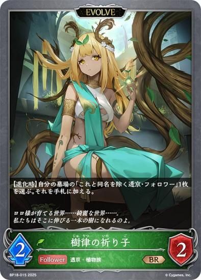 ɥС ܥ BP18-015 Χε (BR ֥󥺥쥢) ֡ѥå 18 ԻԡƩ