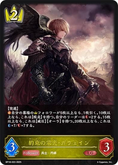 ɥС ܥ BP18-023 «αɸ (LG 쥸) ֡ѥå 18 ԻԡƩ