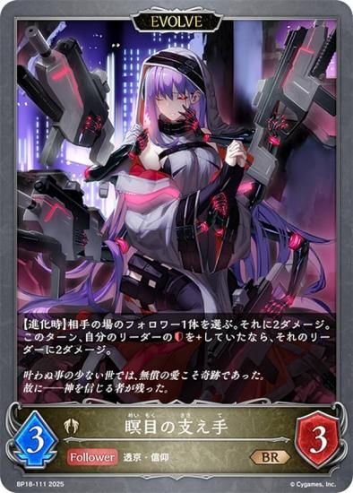 ɥС ܥ BP18-111 ܤλ٤ (BR ֥󥺥쥢) ֡ѥå 18 ԻԡƩ