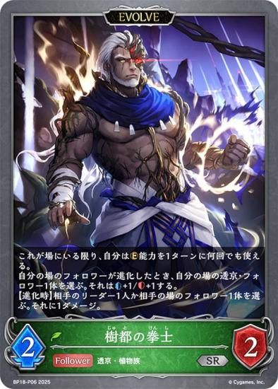 ڥѥۥɥС ܥ BP18-P06 Ԥη (SR С쥢) ֡ѥå 18 ԻԡƩ