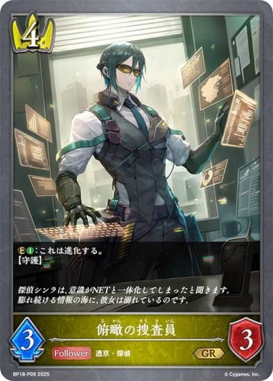 ڥѥۥɥС ܥ BP18-P09 פܺ (GR ɥ쥢) ֡ѥå 18 ԻԡƩ