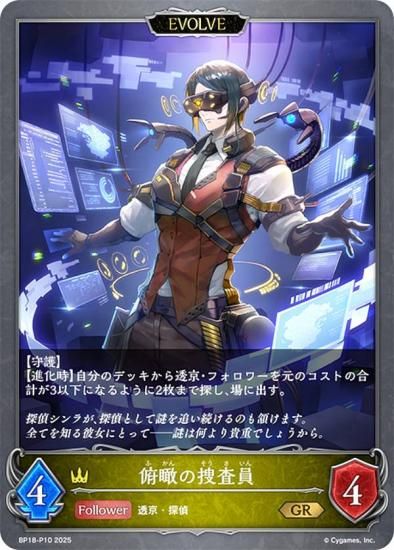 ڥѥۥɥС ܥ BP18-P10 פܺ (GR ɥ쥢) ֡ѥå 18 ԻԡƩ