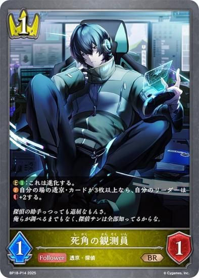 ڥѥۥɥС ܥ BP18-P14 Ѥδ¬ (BR ֥󥺥쥢) ֡ѥå 18 ԻԡƩ