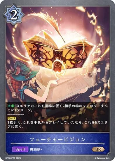 ڥѥۥɥС ܥ BP18-P25 ե塼㡼ӥ (BR ֥󥺥쥢) ֡ѥå 18 ԻԡƩ