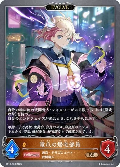 ڥѥۥɥС ܥ BP18-P30 ޤε (BR ֥󥺥쥢) ֡ѥå 18 ԻԡƩ