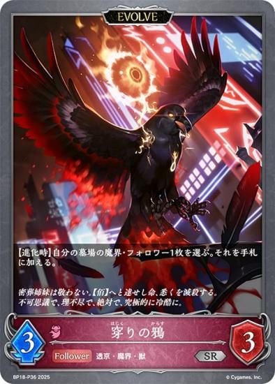 ڥѥۥɥС ܥ BP18-P36  (SR С쥢) ֡ѥå 18 ԻԡƩ