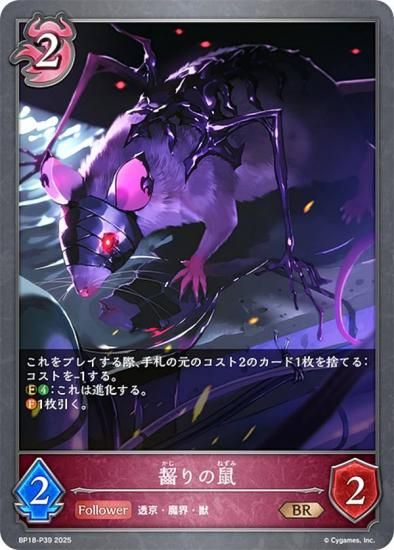 ڥѥۥɥС ܥ BP18-P39  (BR ֥󥺥쥢) ֡ѥå 18 ԻԡƩ