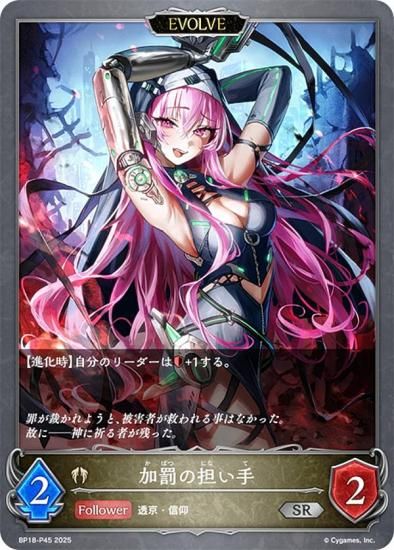 ڥѥۥɥС ܥ BP18-P45 ȳô (SR С쥢) ֡ѥå 18 ԻԡƩ