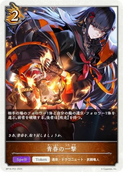 ڥѥۥɥС ܥ BP18-P53 Ľդΰ (ȡ) ֡ѥå 18 ԻԡƩ