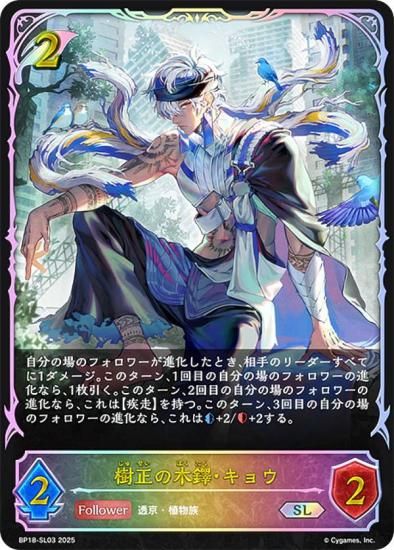 ڥѥۥɥС ܥ BP18-SL03 祦 (SL ѡ쥸) ֡ѥå 18 ԻԡƩ