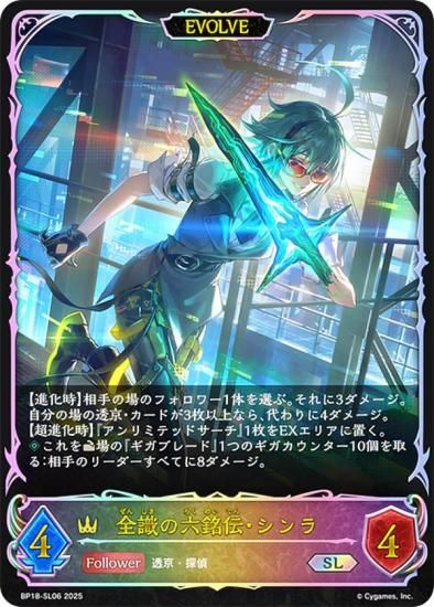 ڥѥۥɥС ܥ BP18-SL06 ϻ (SL ѡ쥸) ֡ѥå 18 ԻԡƩ