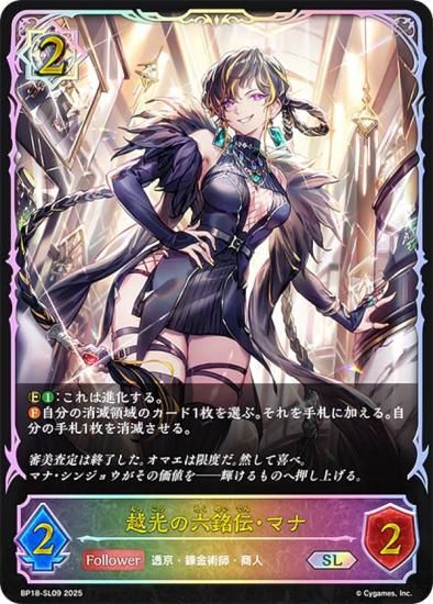 ڥѥۥɥС ܥ BP18-SL09 ۸ϻޥ (SL ѡ쥸) ֡ѥå 18 ԻԡƩ