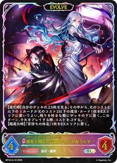 ڥѥۥɥС ܥ BP18-SL18 ѻ˴ϻ를를 (SL ѡ쥸) ֡ѥå 18 ԻԡƩ