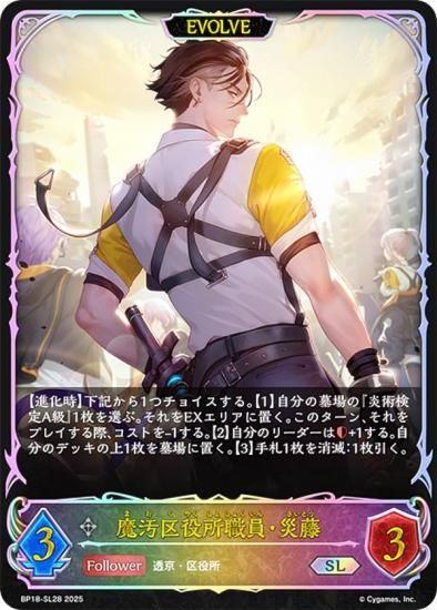 ڥѥۥɥС ܥ BP18-SL28 꿦ƣ (SL ѡ쥸) ֡ѥå 18 ԻԡƩ