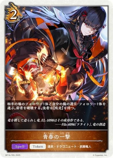 ɥС ܥ BP18-T05 Ľդΰ (ȡ) ֡ѥå 18 ԻԡƩ